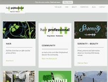 Tablet Screenshot of hair-professional.co.uk